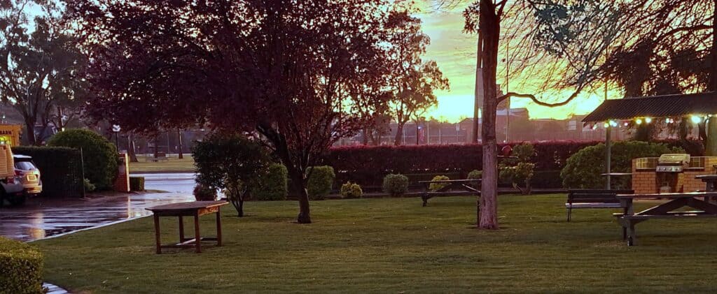 The motel garden at dusk, with festoon lights and a golden sky