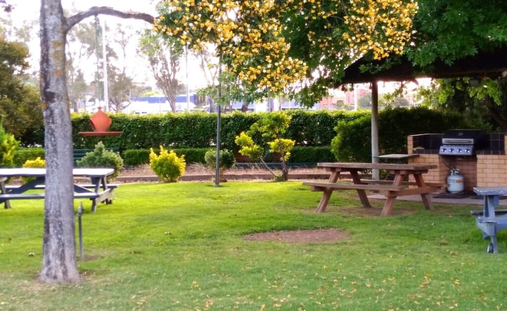 The garden at City Park Motel, with picnic tables and a barbecue under the trees